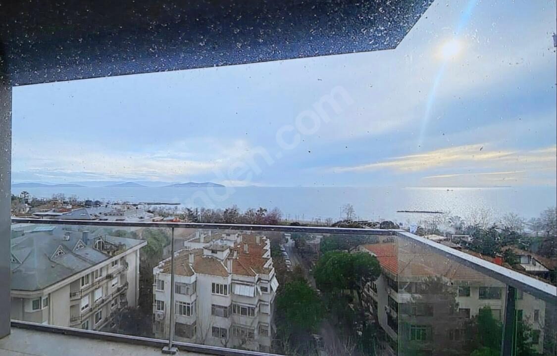 295da563-b597-4de0-80f8-0ed8cca2d7d9