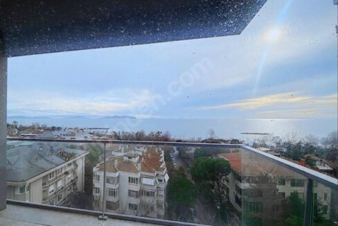 295da563-b597-4de0-80f8-0ed8cca2d7d9