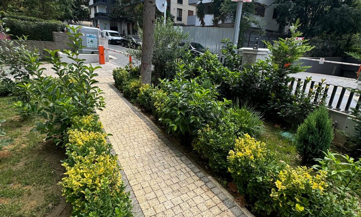 762314c2-fa3e-4293-96ed-4f3e03168ed6