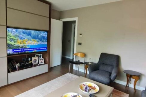 a1c9a93b-f6f6-419e-8529-66983350c588 (11)