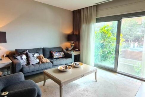 a1c9a93b-f6f6-419e-8529-66983350c588 (6)