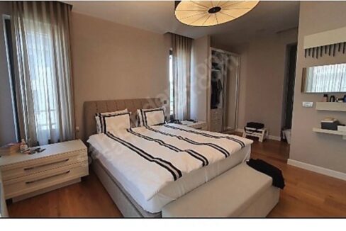 3ae135f9-7fbe-44d5-88ec-91aa52fdf010