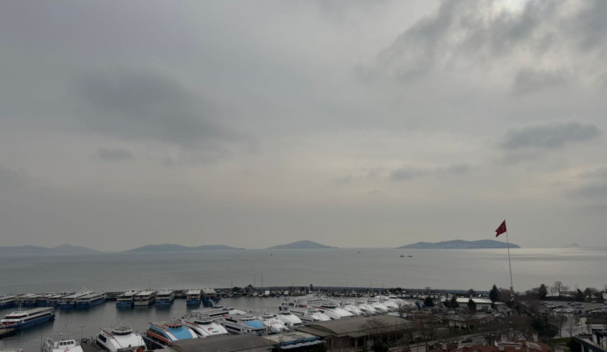 WhatsApp Image 2026-03-05 at 09.41.42