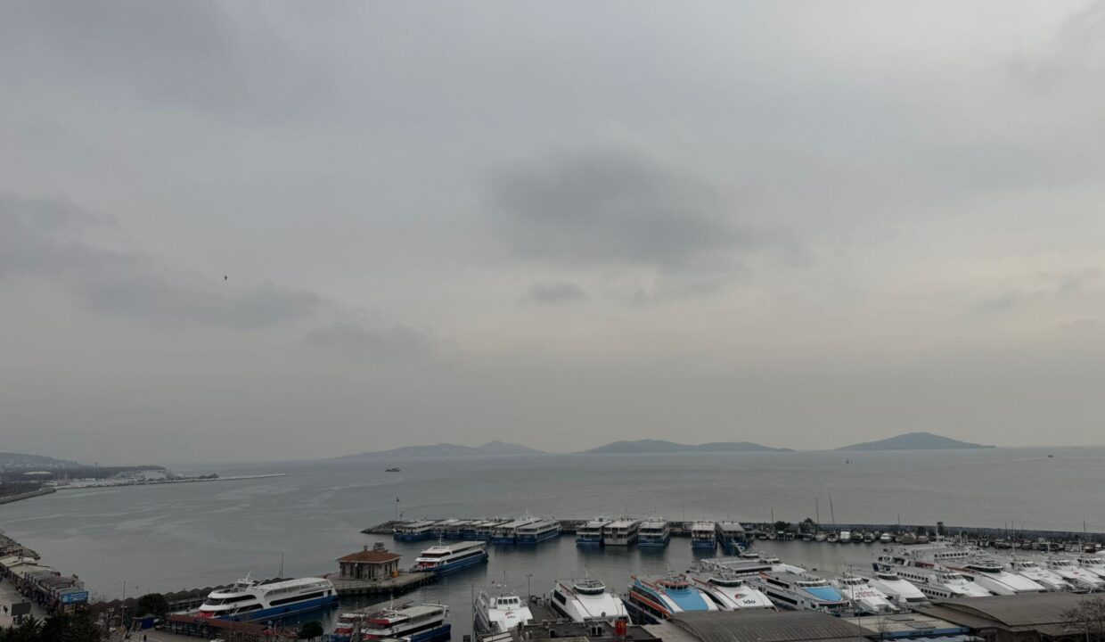 WhatsApp Image 2026-03-05 at 09.41.48 (1)