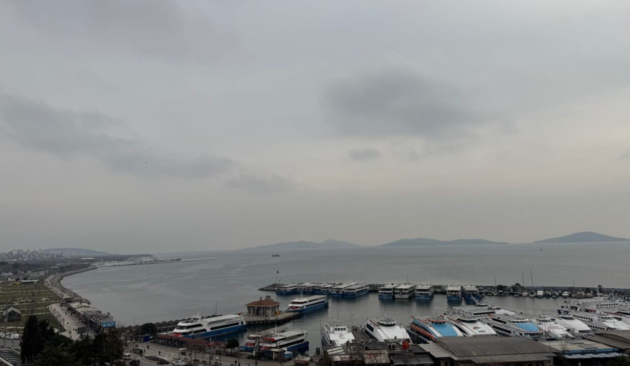 WhatsApp Image 2026-03-05 at 09.41.48