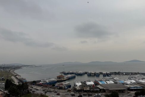 WhatsApp Image 2026-03-05 at 09.41.48