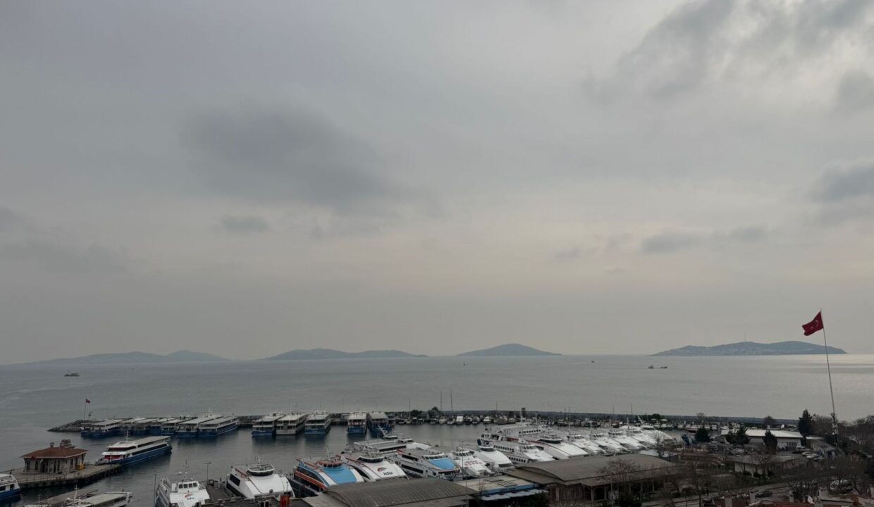 WhatsApp Image 2026-03-05 at 09.41.49 (1)