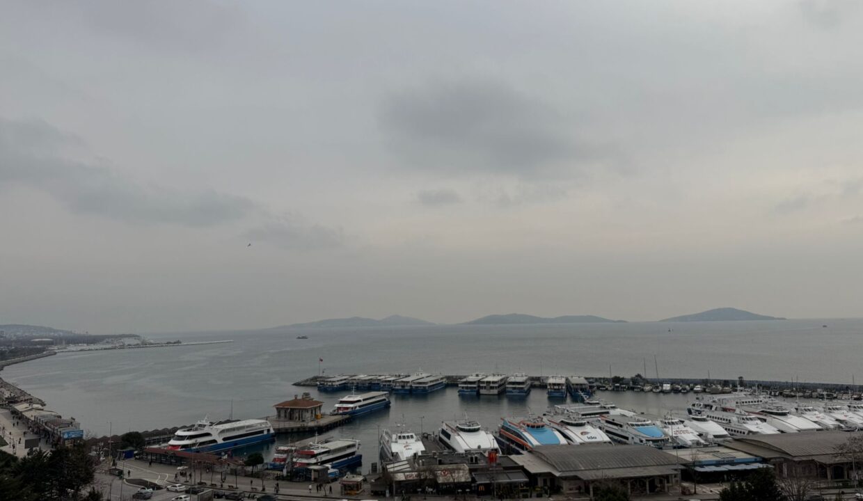 WhatsApp Image 2026-03-05 at 09.41.49